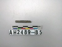 藏品(磨製石針)的圖片